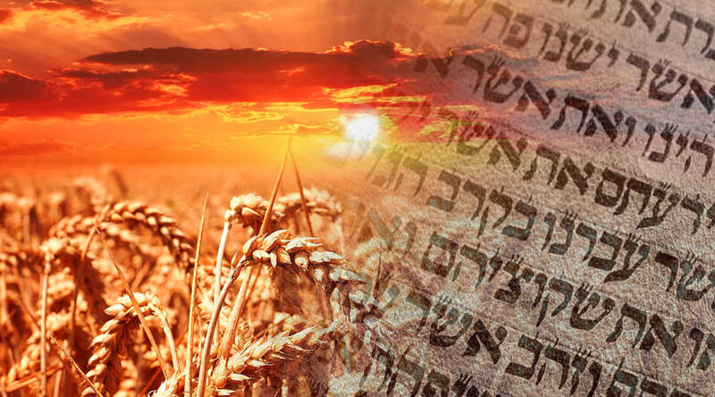 Banner Image for Shavuot Lunch and Learn with Rabbi Nathaniel Helfgot