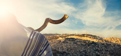 Banner Image for Method and Laws of Shofar Blowing - Class and Discussion with Rabbi Shafner
